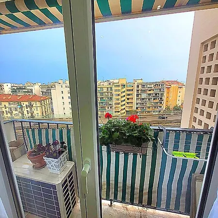 Nissalabella Nizza